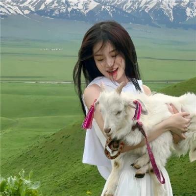 糟糕历史第七季