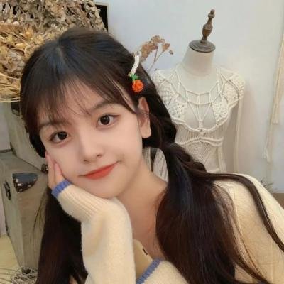 记录的地平线第三季